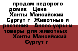 продам недорого домик › Цена ­ 2 000 - Ханты-Мансийский, Сургут г. Животные и растения » Аксесcуары и товары для животных   . Ханты-Мансийский,Сургут г.